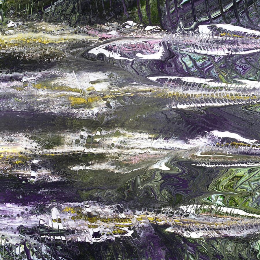 Salmon Migration